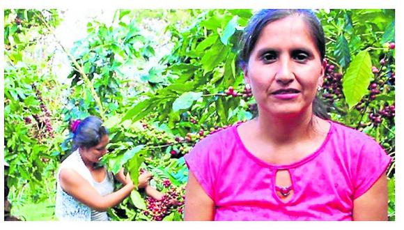 ​Junín: las mujeres de Pichanaki dirigen producción local de café