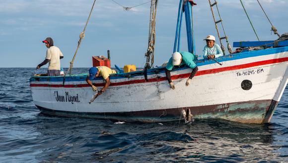 Oceana sugiere incorporar las categorías de sobreexplotación y sobrepesca en el marco regulatorio y reformar los Reglamentos de Ordenamiento Pesquero. (Foto: Archivo Correo)