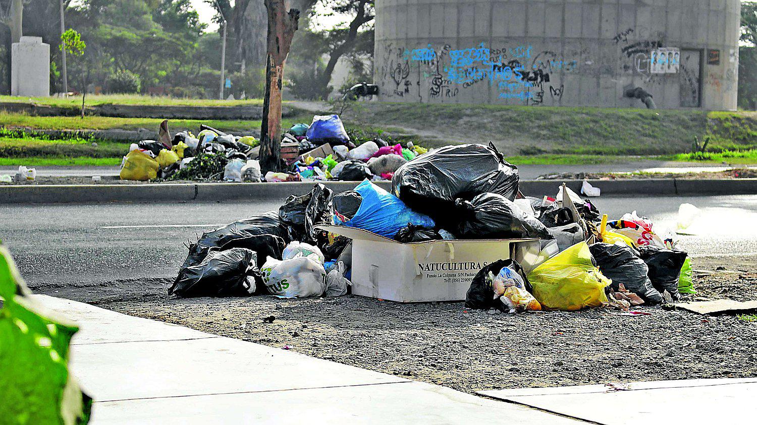 Acumulación de basura causa masiva aparición de moscas en la ciudad de Ica 