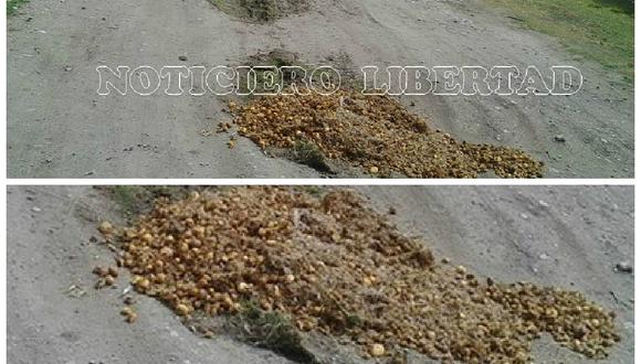 Facebook: arrojan maca en baches de carretera de Junín