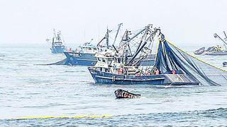 Chimbote: Produce autoriza pesca pese al alto índice de peladilla 