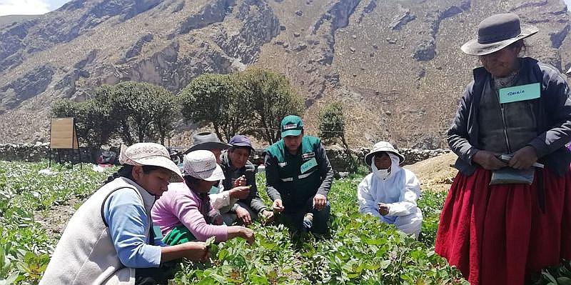 ​Forman a agricultores para reemplazar plaguicidas por insectos