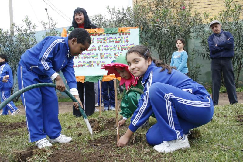 15 colegios cuidan el medio ambiente