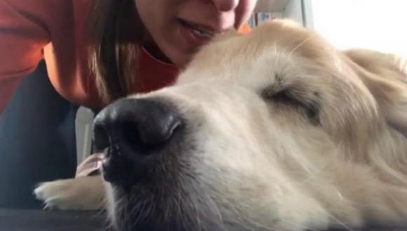 Conductora de TV le canta a su perro a punto de fallecer (VIDEO) 