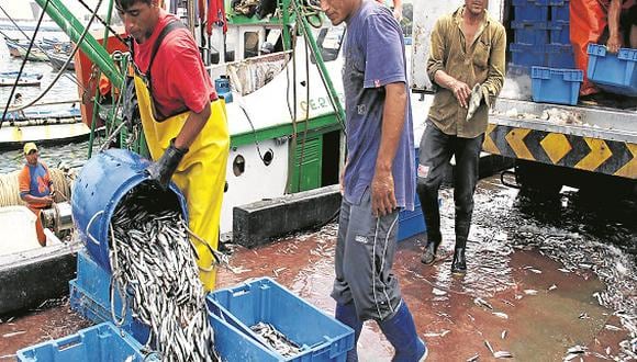 Pescadores industriales confían que Produce les otorgue más anchoveta 
