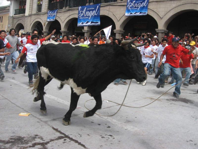 Semana Santa: Prohíben 'vela toro' y 'jala toro' para evitar maltrato a animales en Huamanga