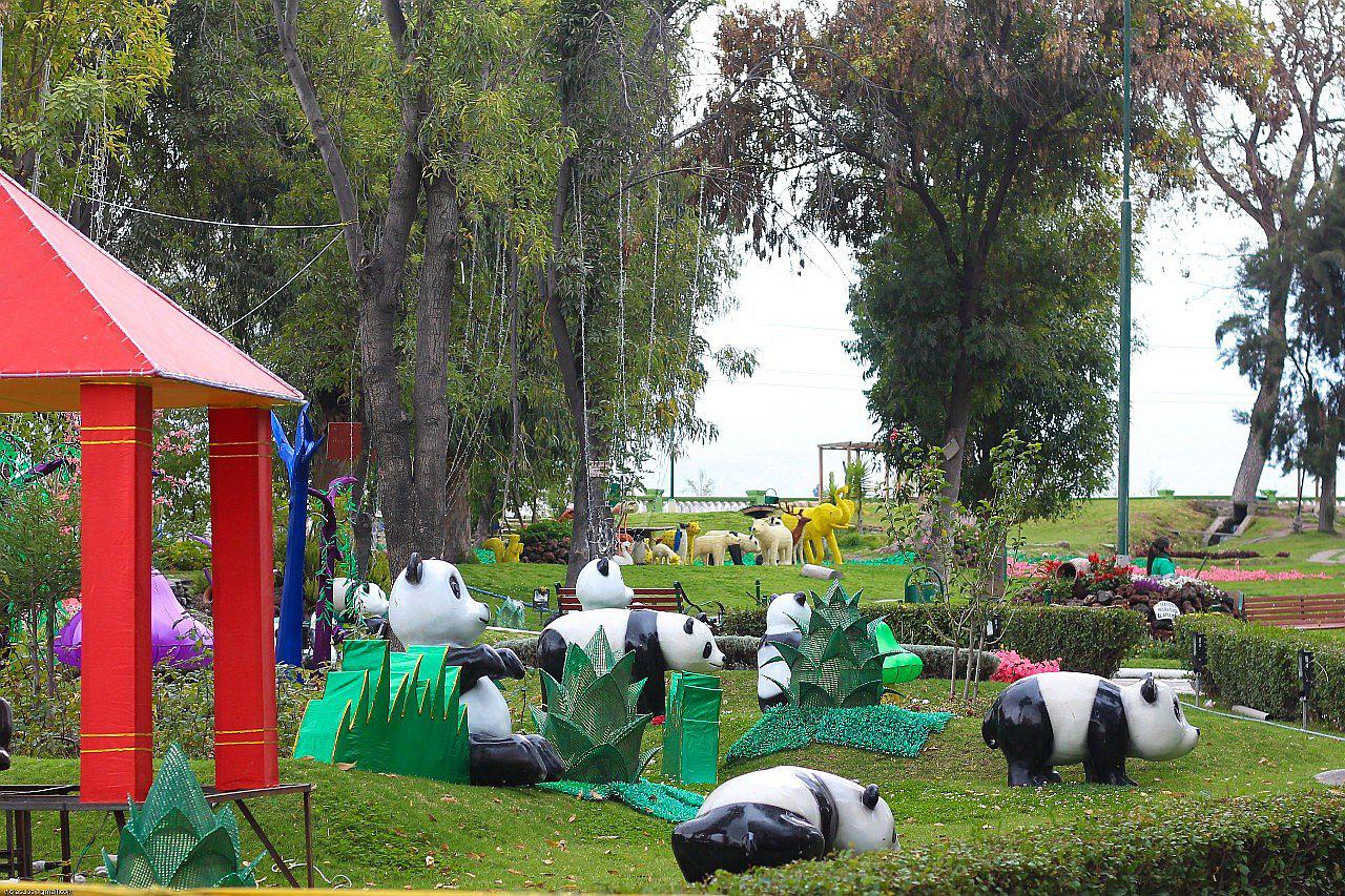 Espectáculo cultural de luces llega a Arequipa desde China con el oso panda