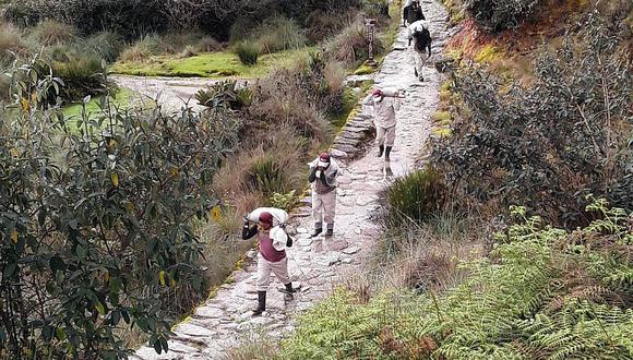 Machu Picchu: intensifican trabajos de conservación en el Camino Inca (FOTOS)