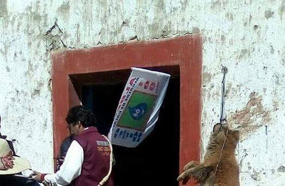 Perros muertos y amenazas de muerte empañan último tramo de la campaña 