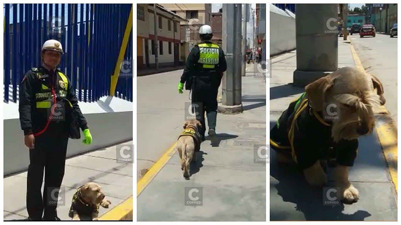 'Chata' cubre doble turno cuidando el tránsito en Semana Santa (VIDEO)