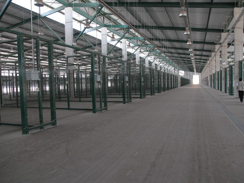 Traslado de comerciantes de La Parada a Santa Anita será en el 2012