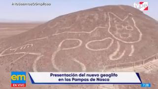 Hallan nuevo geoglifo con forma de gato en Pampa de Nasca en Ica