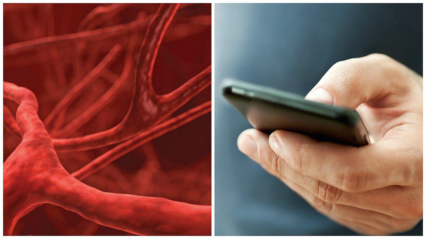 Desarrollan sistema que escanea las venas de los dedos con el "smartphone"