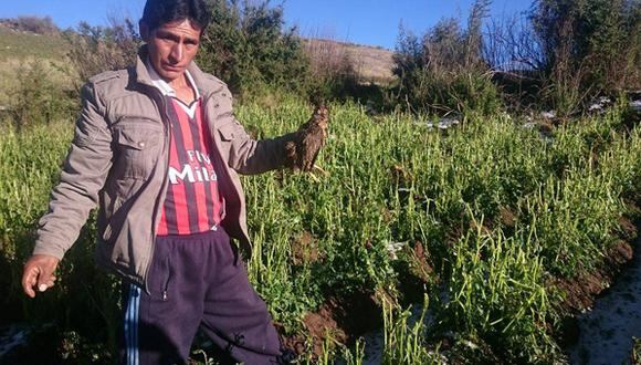 Apurímac: Agricultores se auto convocan ante incapacidad de funcionarios