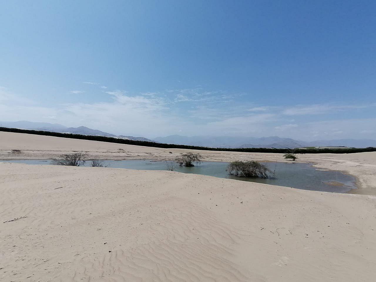 ​Ica: Supervisan recarga del acuífero de Villacurí