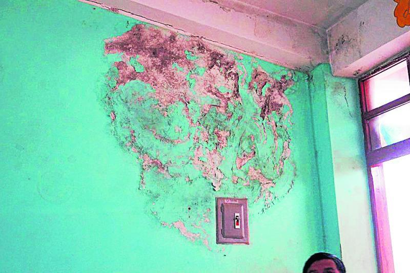 Pasco: 400 alumnos se juegan la vida por infraestructura deteriorada