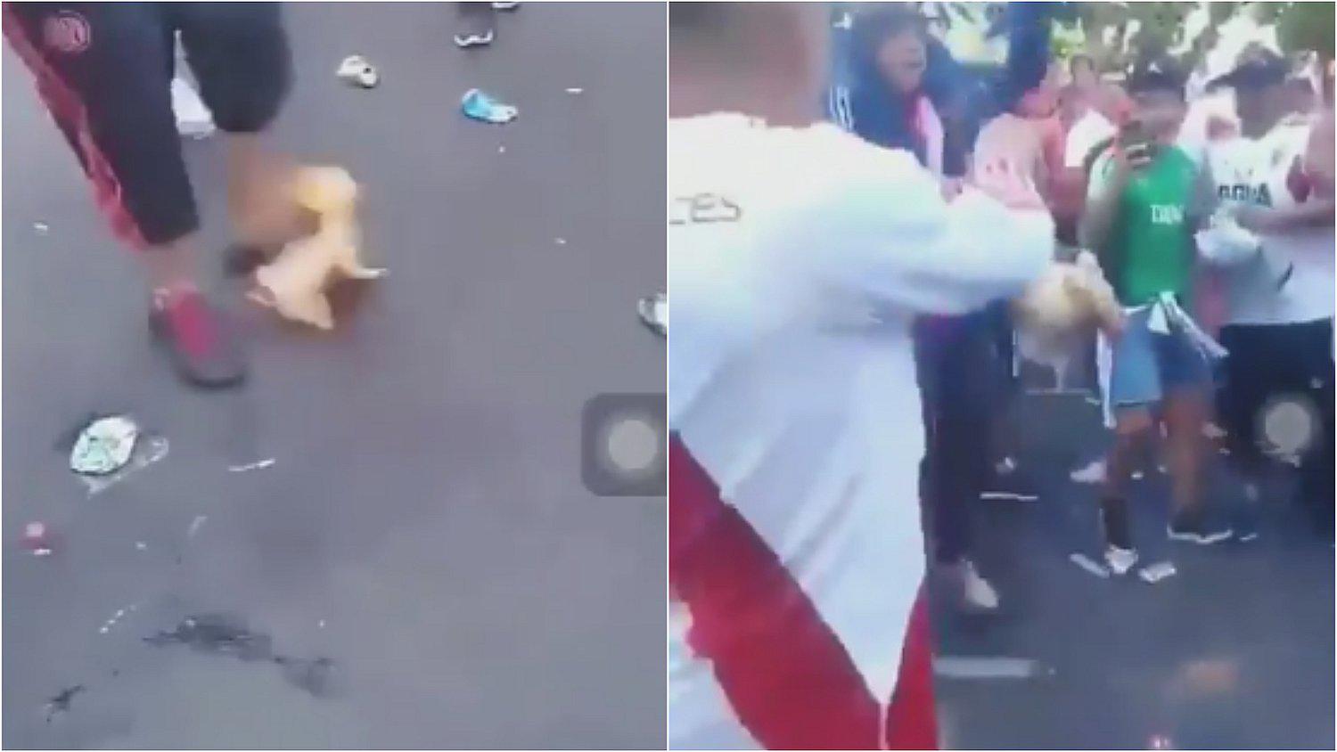 Hinchas de River patean un cerdo muerto que tenía los colores de Boca 