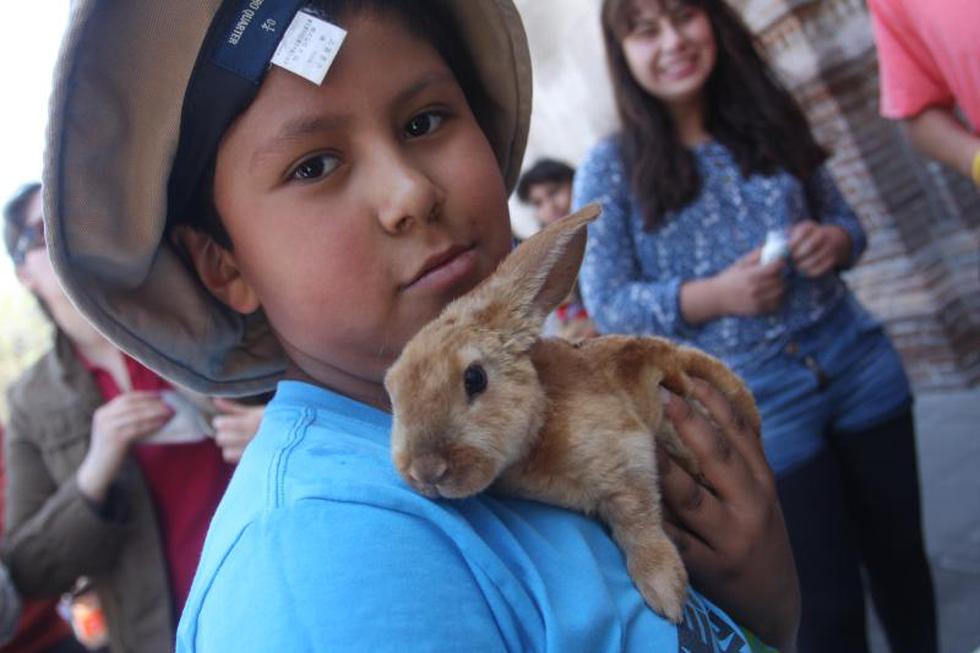 Dia de bendicion de mascotas