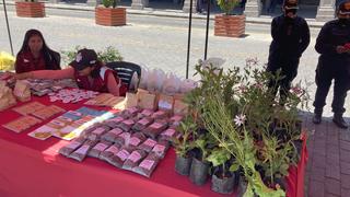 Campaña de cambio de botellas y cartones por una planta o compost en Arequipa (EN VIVO)