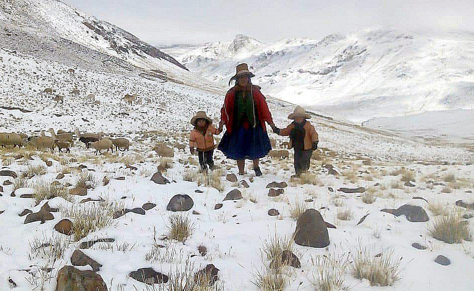 Neumonía por bajas temperaturas ya mató a 85 personas en Cusco (FOTOS)