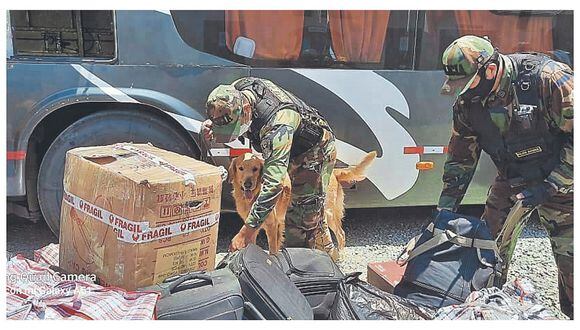 En lo que va del año se han incautado 1,200 kilos de droga en Piura 