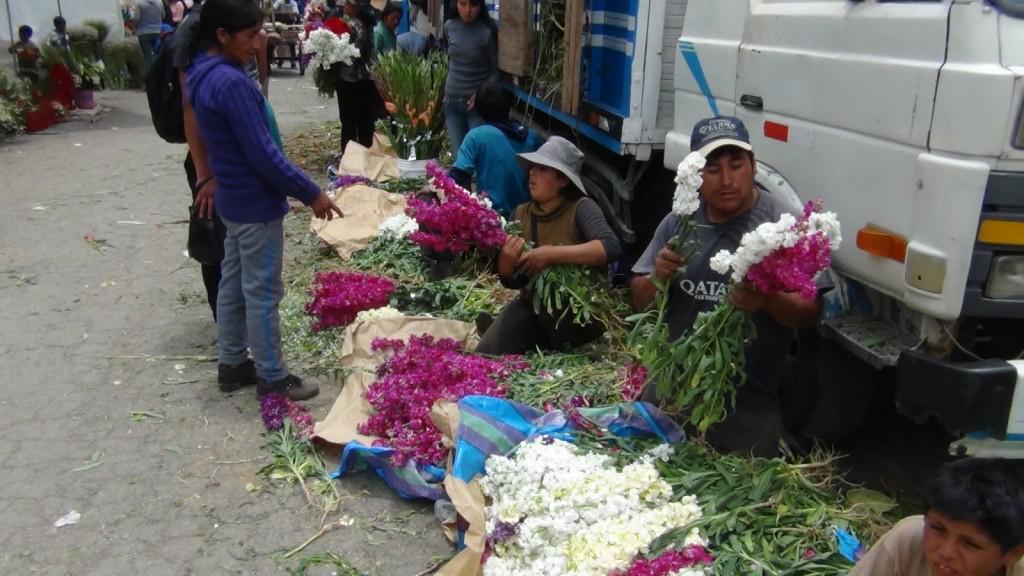 Tarma: Venden 80 toneladas de flores en cuatro días