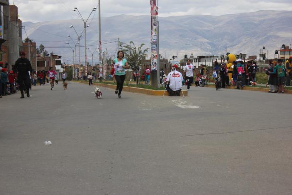 Una competencia  llena de 'amores perros' (FOTOS)