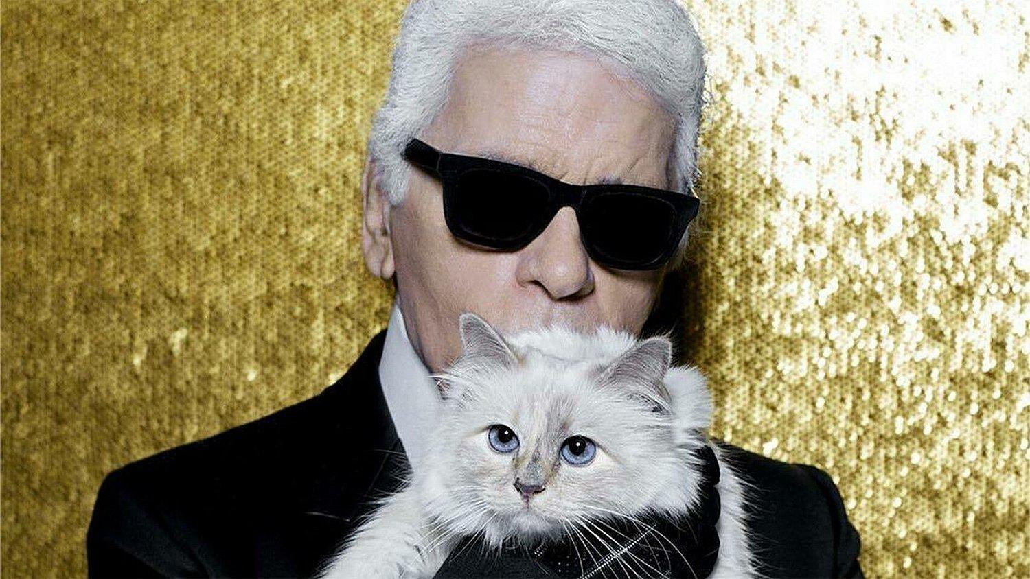 Choupette, la gatita que heredaría la fortuna del diseñador de moda Karl Lagerfeld