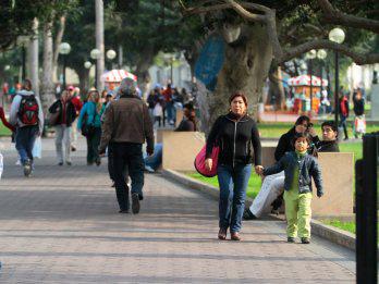 Filmarán a personas que abandonen gatos en Parque Kennedy
