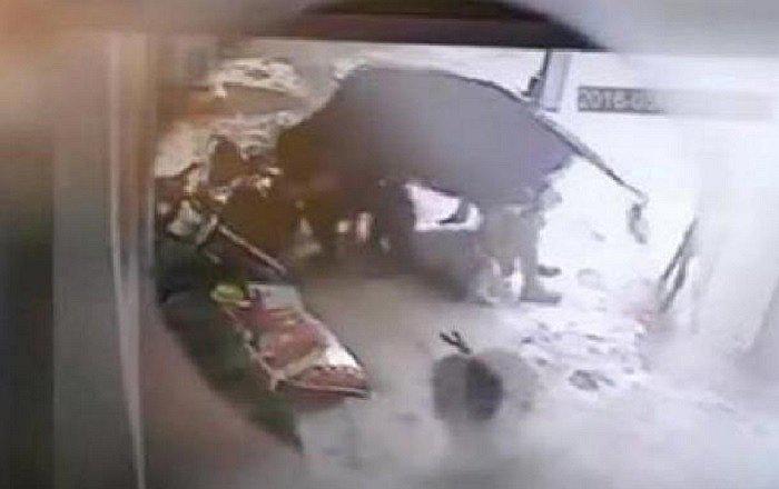 ​YouTube: Vaca salva la vida de su dueña que recibía brutal golpiza de pareja (VIDEO)