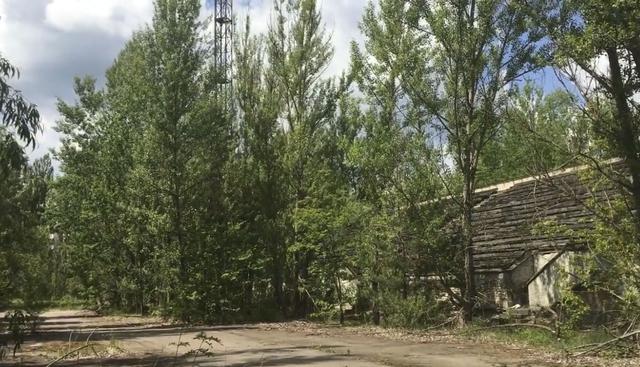 Así luce el estadio Avangard en Pripyat, Ucrania, que no pudo ser estrenado por el desastre de Chernobyl. (Foto: Youtube)