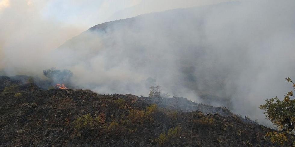 Incendio de grandes proporciones afecta áreas de bosques en Huaribamba, Tayacaja