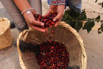 CAC de Maranura recibe reconocimiento