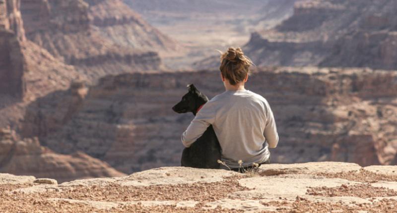 Perro (Foto: Magnet difusión)