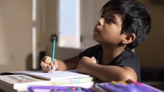 Aprendo en casa HOY 28 de agosto: clases de inicial, primaria y secundaria EN VIVO