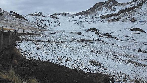 ​Cuatro provincias continúan en peligro por ocurrencia de nevadas en Huancavelica