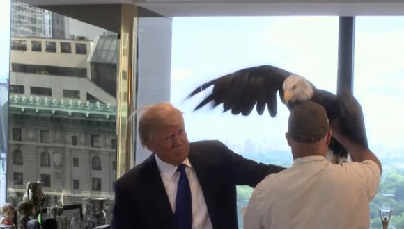 EEUU: ​Águila ataca a Donald Trump en plena sesión fotográfica (VIDEO)