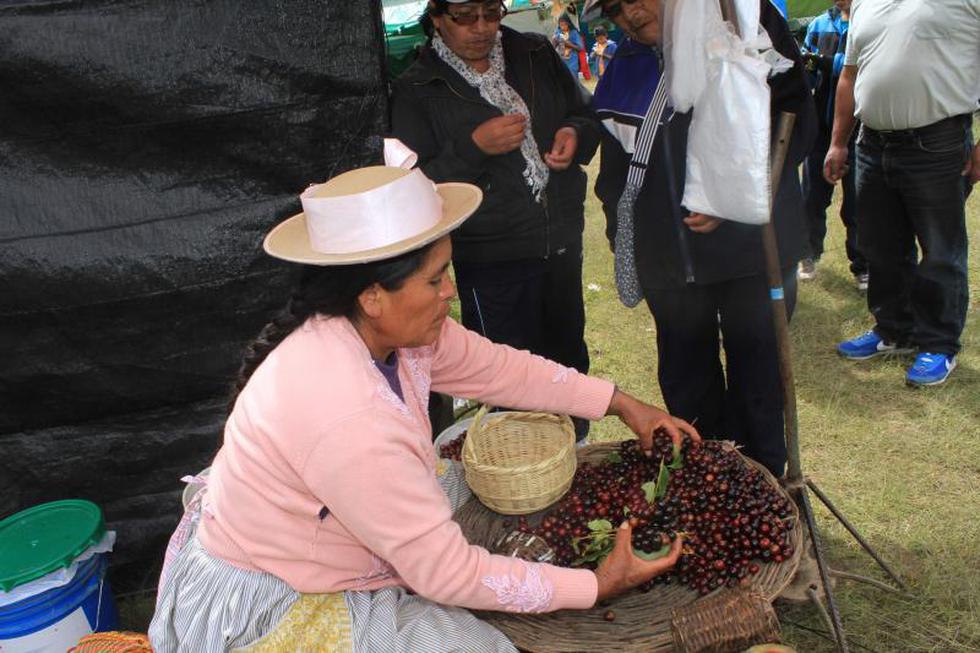La guinda en su máximo esplendor en festival de Huamancaca Chico 