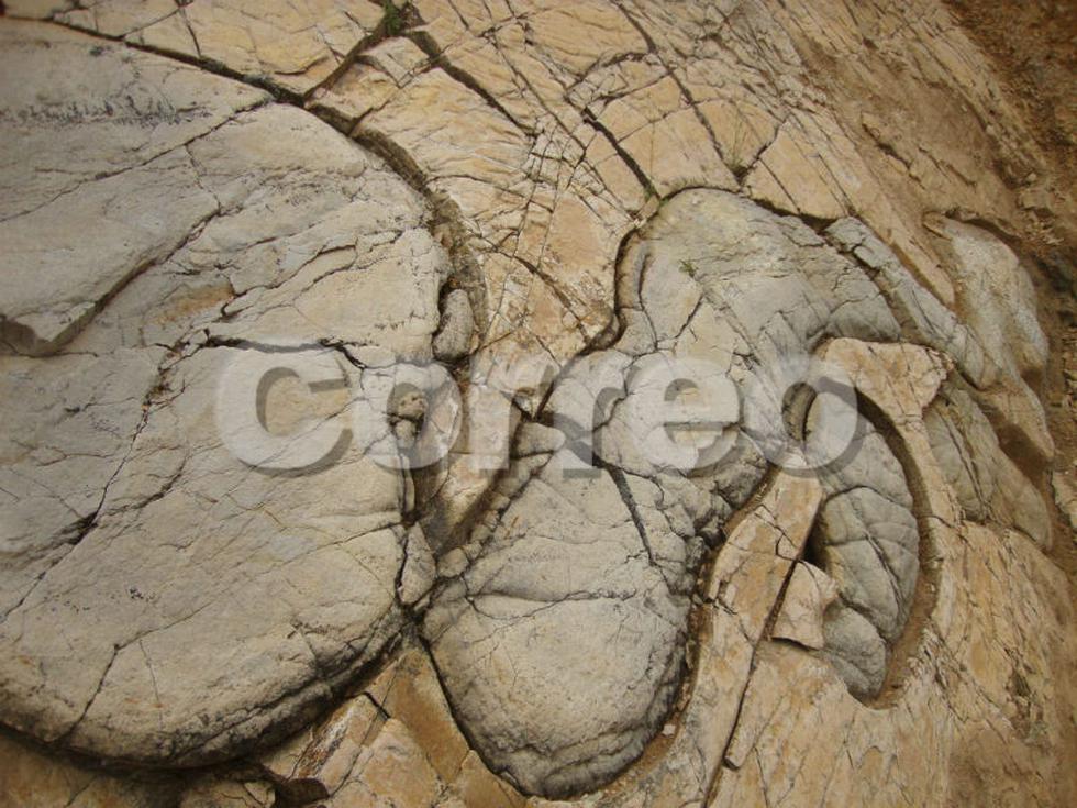 En cerro de Huachac hallan fósiles prehistóricos (VIDEO)