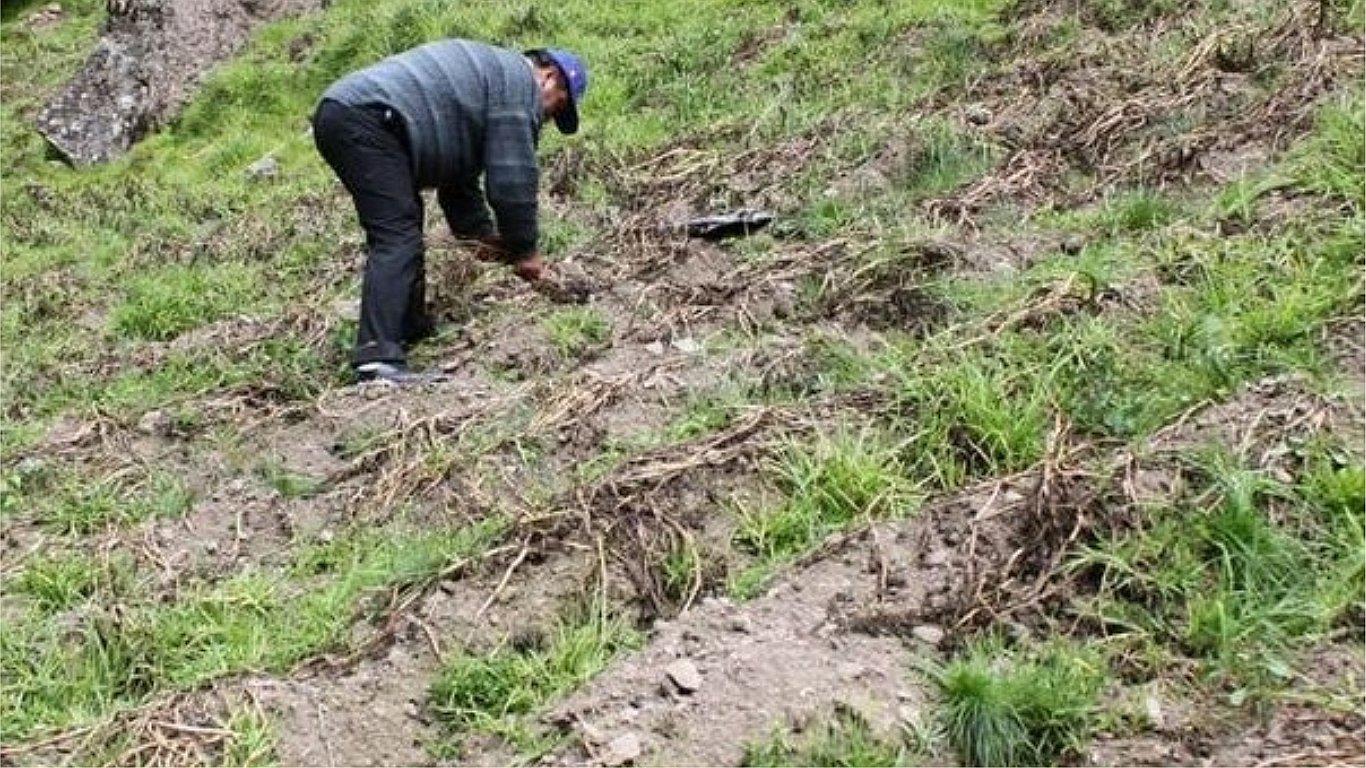 Agricultores mejoran su productividad en sembríos de papa