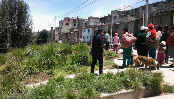 Lio de terrenos entre vecinos y pobladores de Yanacancha 