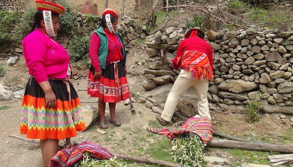 Comunidad de Willoq fue ornamentada y reforestada en Cusco