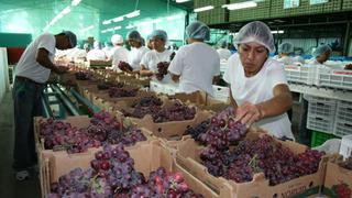 Mincetur: Exportaciones de uvas alcanzarían los US$ 1,400 millones al cierre de 2022 