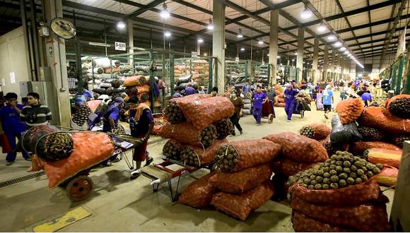 Minagri venderá 20 toneladas de papa a 80 céntimos el kilo