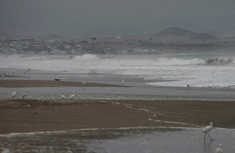 Multarán a personas que arrojen basura en playas de Lurín