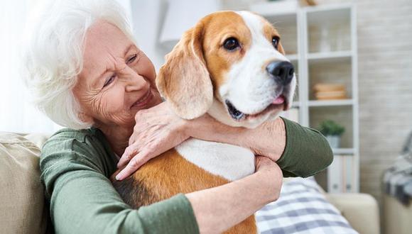 Adultos mayores que tienen de compañía una mascota son más saludables, según estudio