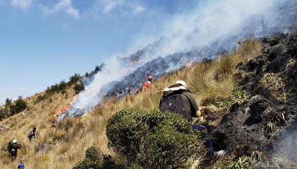 Apurímac: incendio forestal en Santuario Nacional de Ampay fue controlado en un 95%