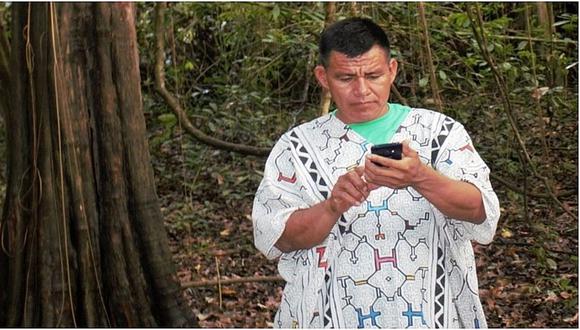 Premian uso del celular para alerta temprana de deforestación de bosques