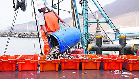 Sector pesquero se recupera