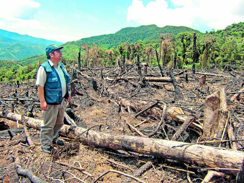 Deforestación en Cusco: Tala ilegal y actividad minera afectan varias provincias